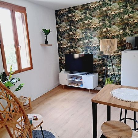 Le Jungle Appart, Centre Ville Нарбонна Экстерьер фото